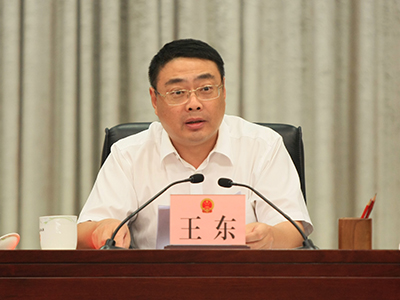 广州市副市长、组委会执行主任王东出席会议并讲话。